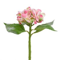 Hortensia lyserød 33 cm 4stk