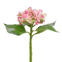 Artikel Hortensia pink med sne 33cm 4 stk