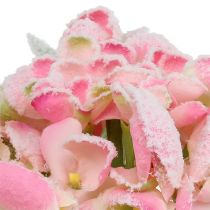 Artikel Hortensia pink med sne 33cm 4 stk
