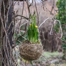 Blumenampel Heu Natur Plantekurv til ophæng Hængepotte Ø20cm
