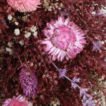 Artikel Blomsterkrans, tørret blomsterkrans, vinrød, pink, Ø25 cm