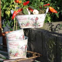 Artikel Urtepotte lille metalfarvet Fresh Garden H16cm 2stk