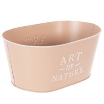 Artikel Oval blomsterskål af zink, antik rose, plantekasse, 27×18 cm, H12,5 cm