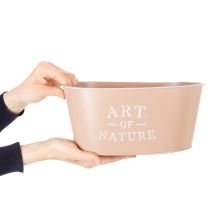 Artikel Oval blomsterskål af zink, antik rose, plantekasse, 27×18 cm, H12,5 cm