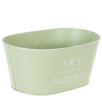 Artikel Blomsterskål oval zink mintgrøn 27×18 cm H12,5 cm