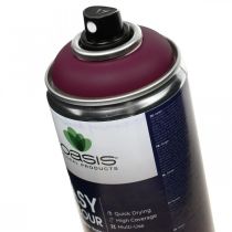 OASIS® Easy Color Spray, malerspray Erika 400ml
