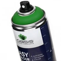 Artikel Easy Color Spray, grøn malingsspray, forårsdekoration 400ml