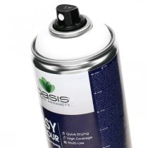 OASIS® Easy Colour Spray, malerspray hvid, vinterdekoration 400ml