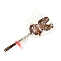 Artikel Blomsterprop rust kanin dekoration 7,5cm×11,5cm 6 stk
