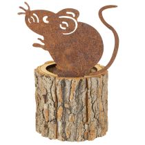 Artikel Urtepotte i træ, bark og muserust, H24 cm