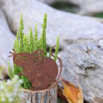 Artikel Urtepotte i træ, bark og muserust, H24 cm