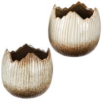 Artikel Urtepotte Keramisk Egg Broken Creme Brown Ø11,5cm 2 stk