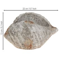 Artikel Urtepotte skalsten antikgrå maritim 22×18×13cm