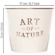 Artikel Zink urtepotte Art of Nature Creme Ø17,5cm H15cm