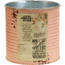 Artikel Urtepotte dekorativ dåse laks metal sommerdekoration Ø11cm H10,5cm