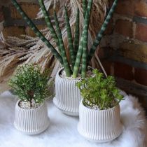 Urtepotte keramisk plantekasse med riller hvid Ø12cm H10,5cm