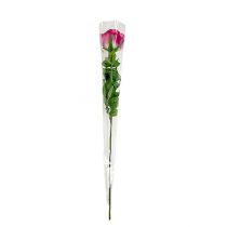 Artikel Blomsterpose utrykt 54x12x3cm 50 stk