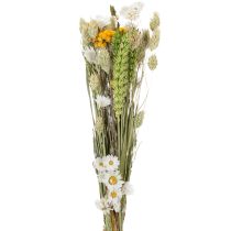 Artikel Tørret blomsterbuket, elegant tørret blomsterbuket til stuen, 50 cm