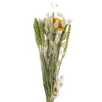 Artikel Tørret blomsterbuket, elegant tørret blomsterbuket til stuen, 50 cm