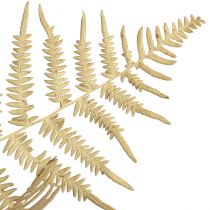 Artikel Tørrede blomster dekorative bregnetørrede bregneblade 70cm 10 stk