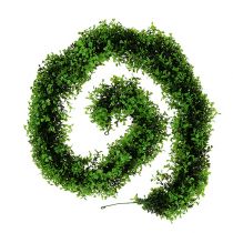 Artikel Buksbom Garland Grøn L170cm