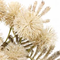Artificial Thistle Cream Drylook Globe Thistle 33cm 3stk