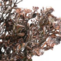 Kunstige planter brun efterårsdekoration vinterdekoration Drylook 38cm 3stk