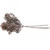 Artikel Kunstige planter brun efterårsdekoration vinterdekoration Drylook 38cm 3 stk