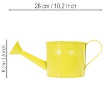 Artikel Farverig dekorativ vandkande, Ø11 cm, H9,5 cm, til plantning, forårsborddekoration, metal, sæt med 8
