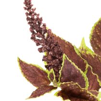 Artikel Kunstig Coleus med røde blade, kunstig plante, 20 cm