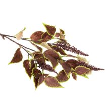 Artikel Kunstig Coleus med røde blade, kunstig plante, 20 cm