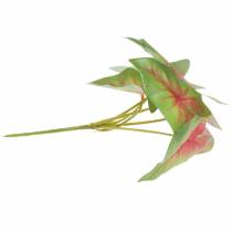 Artikel Kunstig caladium seksbladet grøn/lyserød kunstig plante som ægte!