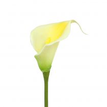 Artikel Kunstig Calla Gul 57cm 12 stk