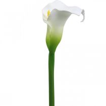 Kunstig Calla Hvid bryllupsdekor Silkeblomstjubilæum L72cm