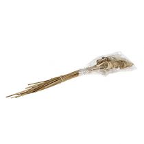 Artikel Rørkegle natur 25 stk