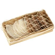 Artikel Capiz-skiver i naturguldskaller 60 stk