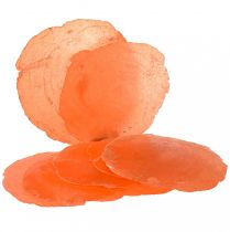 Artikel Capiz-skaller Capiz-skiver perlemor-skiver appelsin 7,5–9,5 cm 300g