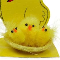 Artikel Chenille Chicks i Rede Mix Ø 5,5cm 3stk