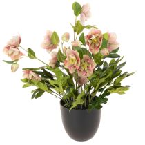 Artikel Kunstig Helleborus potteplante, julerose, til boligdekoration, 50 cm