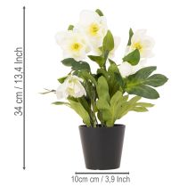 Artikel Kunstig julerose, potteplante, borddekoration, 34 cm