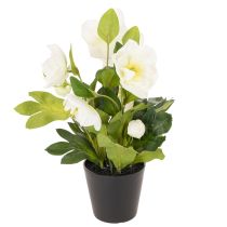 Artikel Kunstig julerose, potteplante, borddekoration, 34 cm
