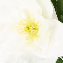 Artikel Kunstig juleroseblomstbuket, hvid, kunstig juledekoration