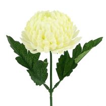 Artikel Krysantemum creme kunstig Ø7cm L18cm