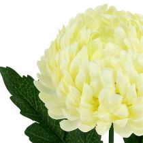 Artikel Krysantemum creme kunstig Ø7cm L18cm
