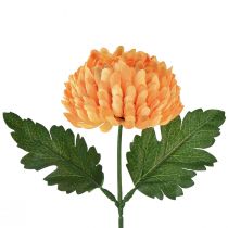 Artikel Krysantemum orange Ø7cm L18cm 1 stk