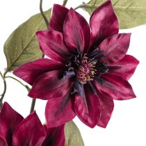 Artikel Klematis kunstig 3 blomster kunstige blomster Bordeaux 81cm 2 stk