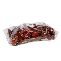 Artikel Compacta Rosette orange 40 stk