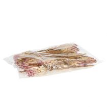 Artikel Compacta Pink 25 stk