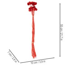 Artikel Tørrede Craspedia-blomster, farvede, med lange stilke, 55 cm, 20 stk.