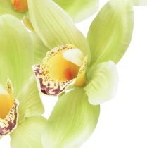 Artikel Cymbidium orkidé kunstig 5 blomster grønne 65cm